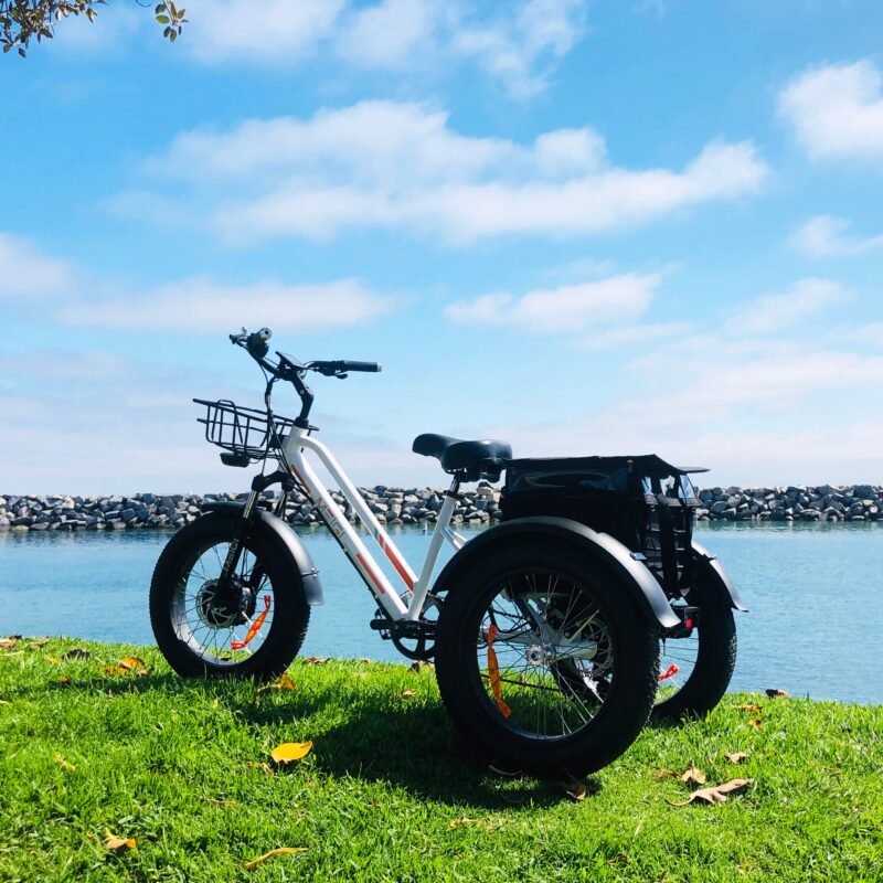 DWMEIGI Zeus MG1703 48V/18.2Ah 750W Electric Trike - Image 16