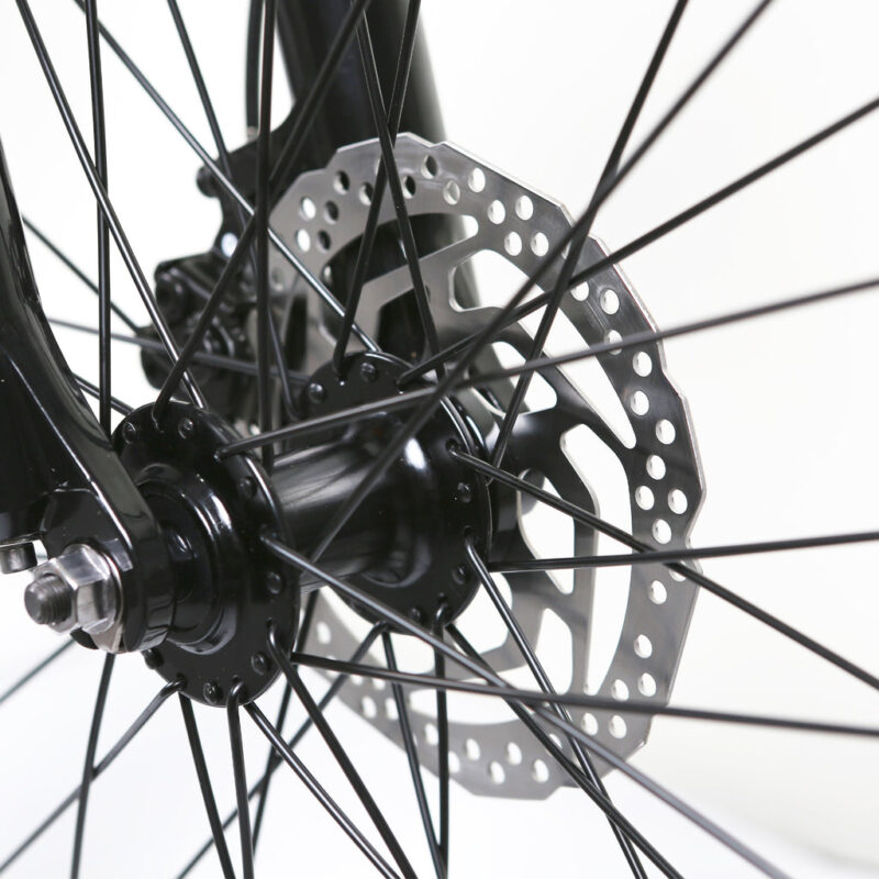 NAKTO Santa Monica 48V/10Ah 750W Fat Tire Electric Bike - Image 14