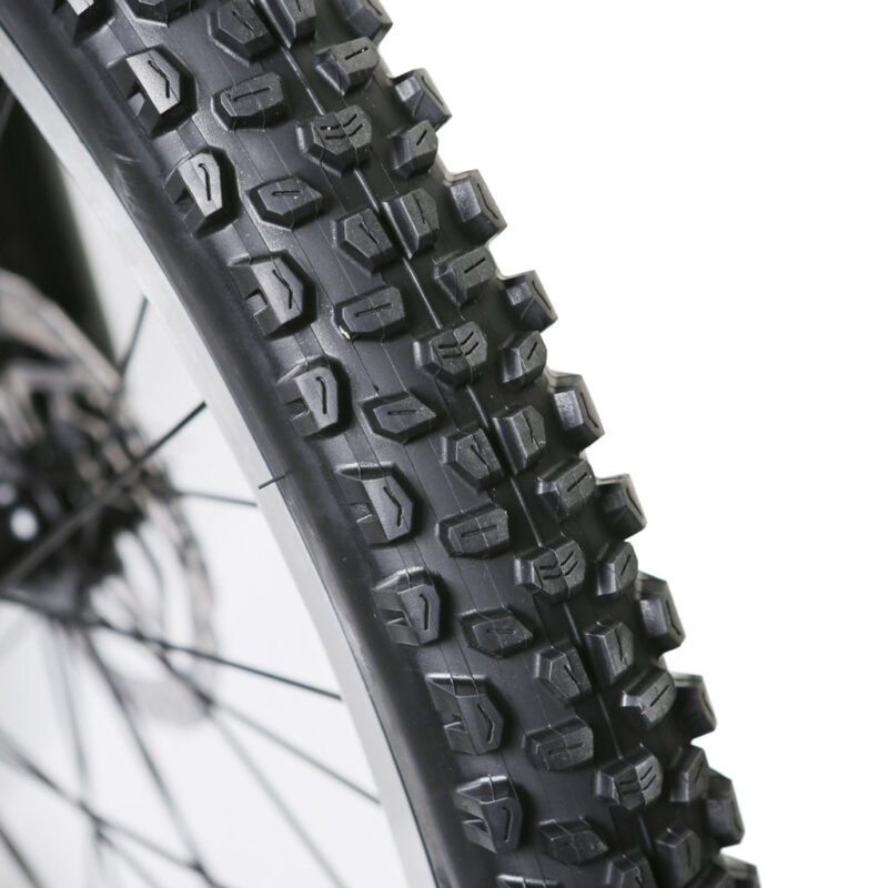 NAKTO Santa Monica 48V/10Ah 750W Fat Tire Electric Bike - Image 15