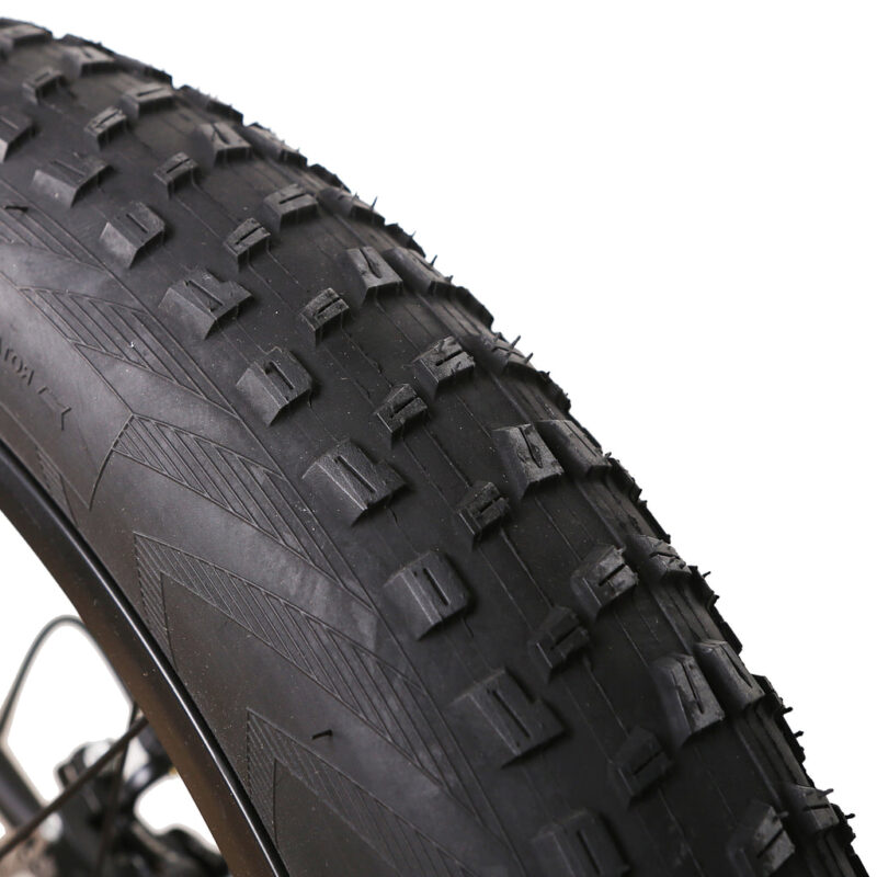 NAKTO Cruiser 36V/10Ah 300W Fat Tire Electric Bike - Image 5