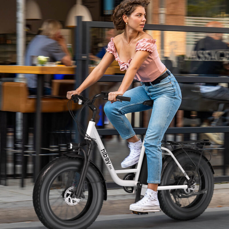 Hiboy EX6 48V/15Ah 500W Fat Tire Electric Bike - Image 10