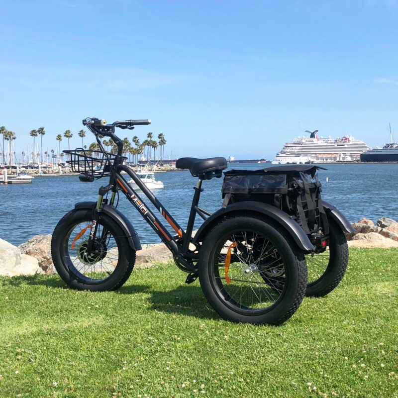 DWMEIGI Zeus MG1703 48V/18.2Ah 750W Electric Trike - Image 19
