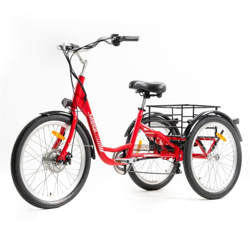 DWMEIGI Hera MG708 36V/13Ah 350W Step-Thru Electric Trike - Image 4