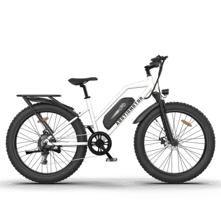 AOSTIRMOTOR S07-G 48V/13Ah 750W Fat Tire Electric Bike