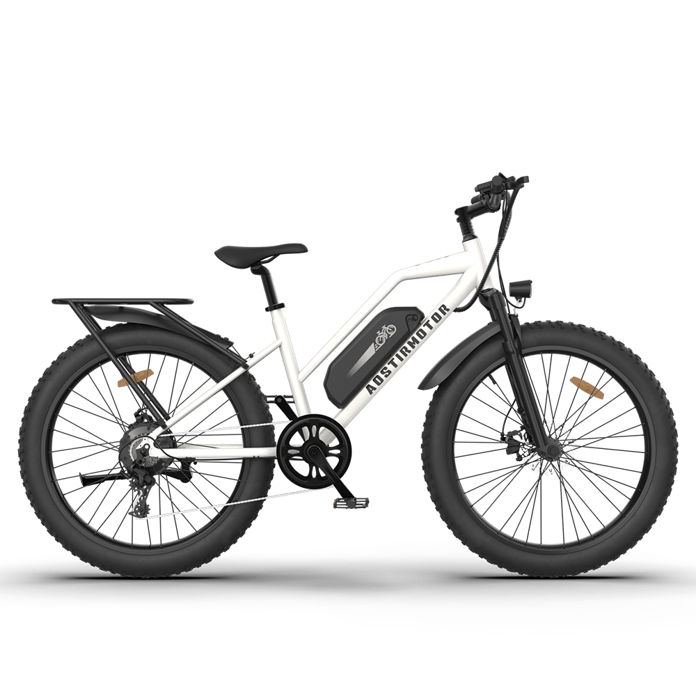AOSTIRMOTOR S07-G 48V/13Ah 750W Fat Tire Electric Bike