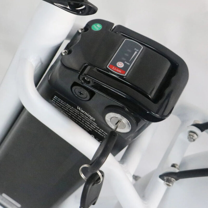 Coastal Cruiser Step Thru 24x3 52V/17Ah 750W Electric Bike - Image 20