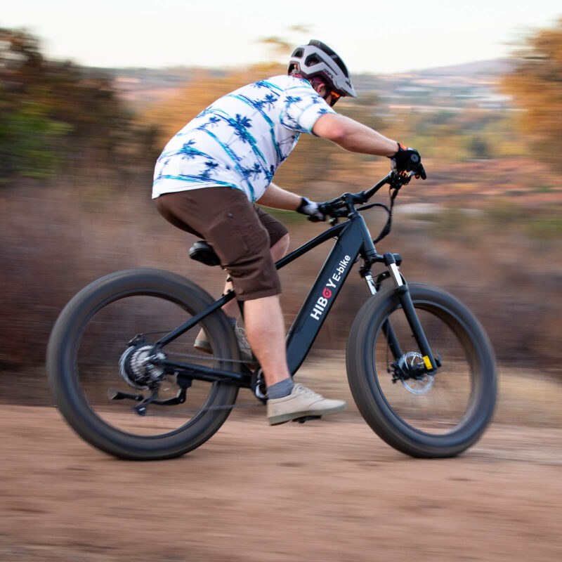 Hiboy P6 48V/11.6Ah 750W Fat Tire Electric Bike - Image 3