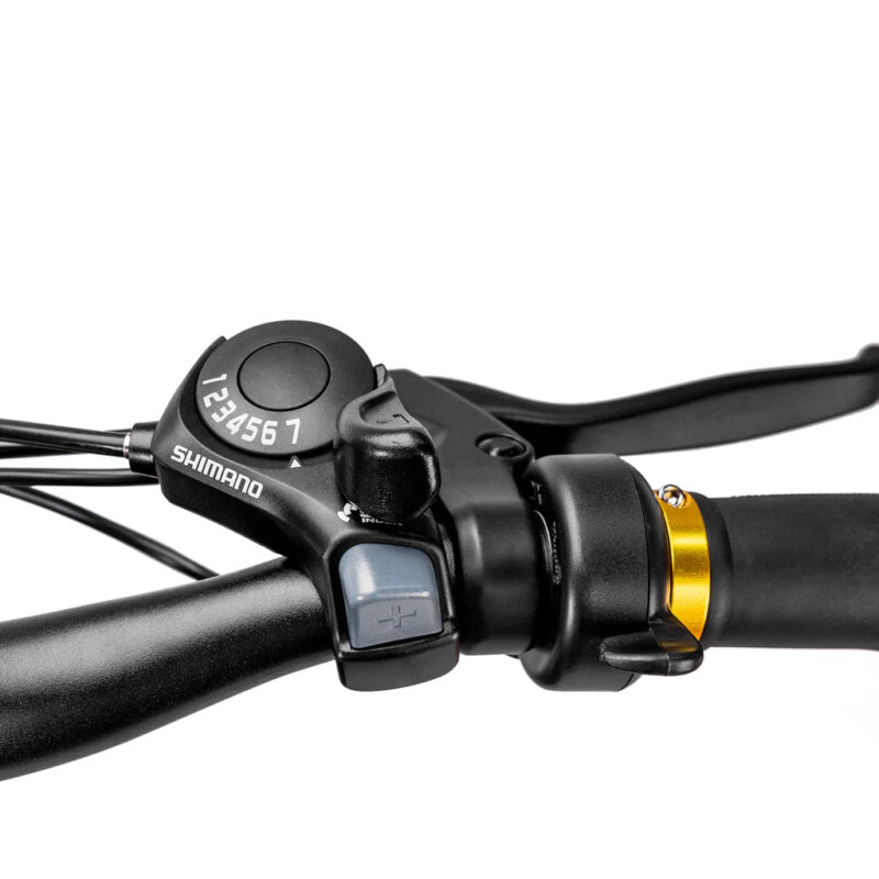 NAKTO Cruiser 2 48V/12Ah 750W Fat Tire Electric Bike - Image 8