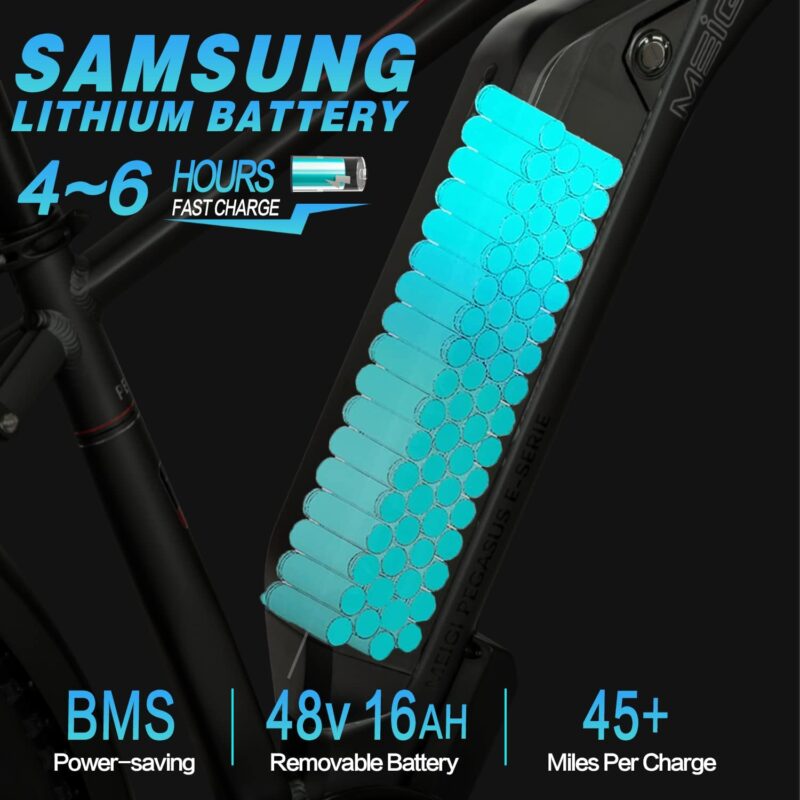 DWMEIGI Pegasus 48V/16Ah 750W Fat Tire Electric Bike - Image 14
