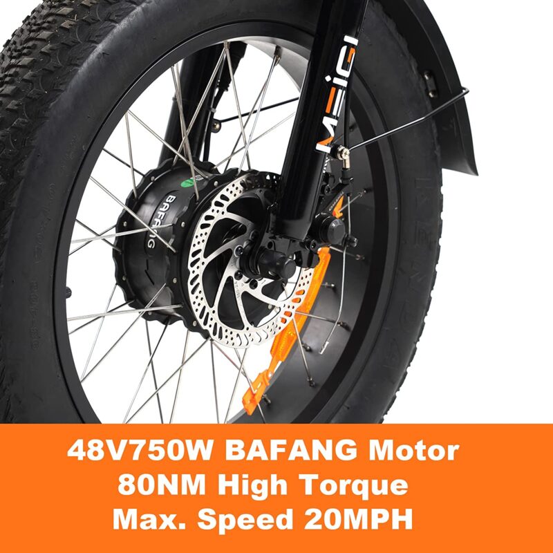 DWMEIGI Zeus MG1703 48V/18.2Ah 750W Electric Trike - Image 10