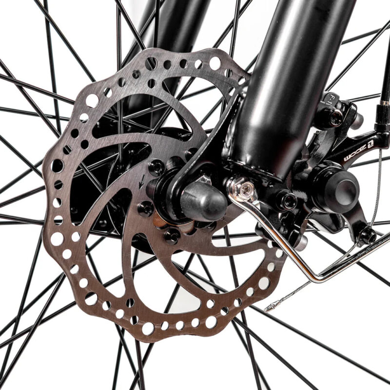 NAKTO Cruiser 2 48V/12Ah 750W Fat Tire Electric Bike - Image 12