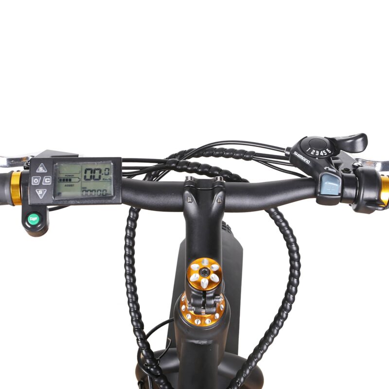 NAKTO Cruiser 36V/10Ah 300W Fat Tire Electric Bike - Image 2