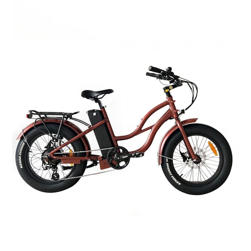 Coastal Cruiser Step Thru 24x3 52V/17Ah 750W Electric Bike - Image 3