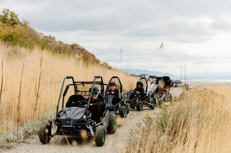 Drift Hero Gas Go-Kart (2 Seats) - Image 7
