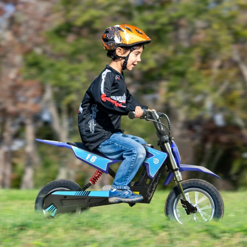 Hiboy DK1 36V/4Ah 300W Electric Dirt Bike For Kids - Image 8