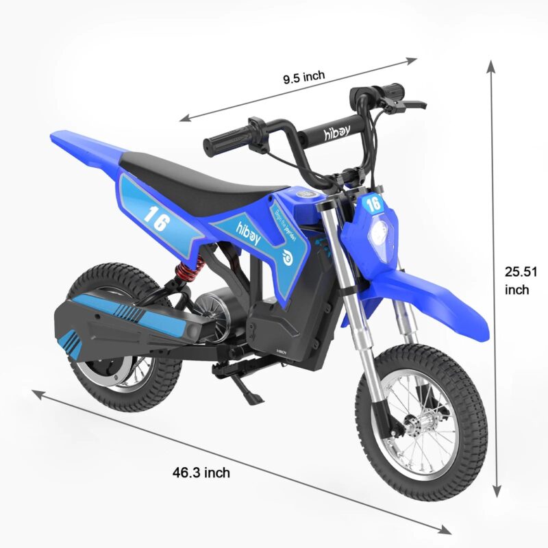 Hiboy DK1 36V/4Ah 300W Electric Dirt Bike For Kids - Image 5