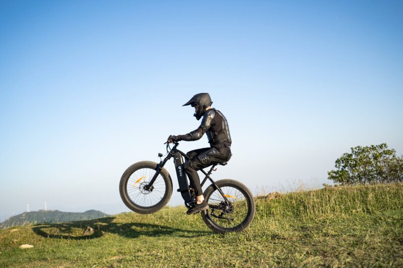 DYU King 750 48V/20Ah 750W Fat Tire Electric Bike - Image 10