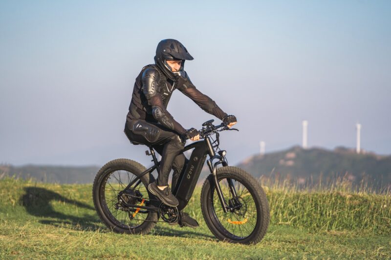 DYU King 750 48V/20Ah 750W Fat Tire Electric Bike - Image 11