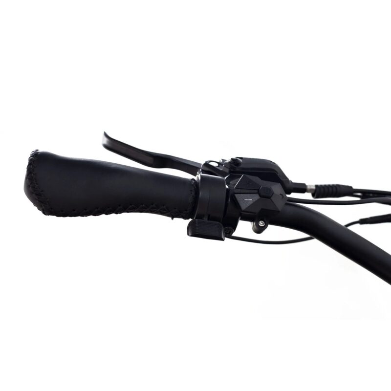 Coastal Cruiser Step Over 24x3 52V/17Ah 750W Electric Bike - Image 17
