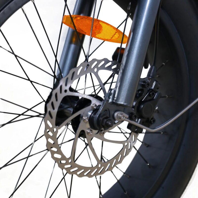Coastal Cruiser Step Over 24x3 52V/17Ah 750W Electric Bike - Image 25