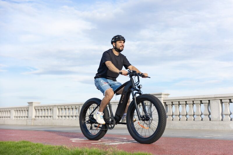 DYU King 750 48V/20Ah 750W Fat Tire Electric Bike - Image 14