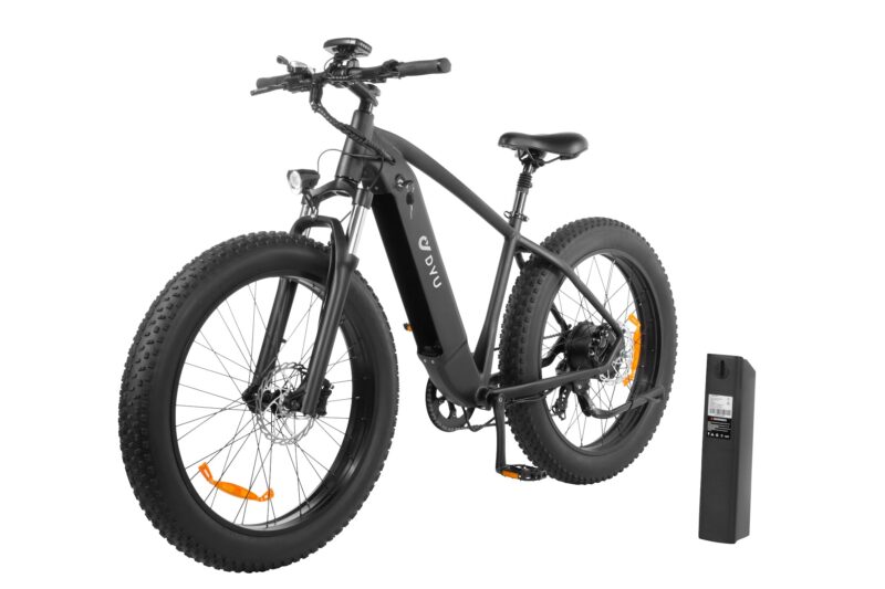 DYU King 750 48V/20Ah 750W Fat Tire Electric Bike - Image 3