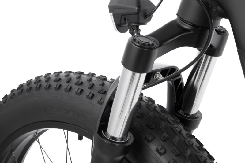 DYU King 750 48V/20Ah 750W Fat Tire Electric Bike - Image 6