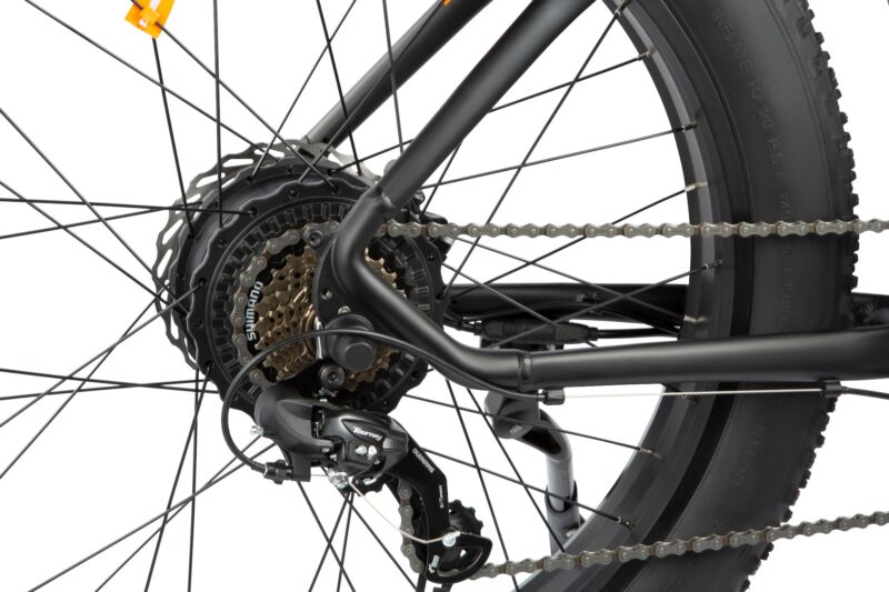 DYU King 750 48V/20Ah 750W Fat Tire Electric Bike - Image 9