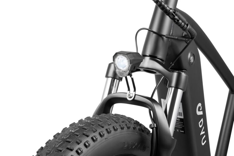 DYU King 750 48V/20Ah 750W Fat Tire Electric Bike - Image 5