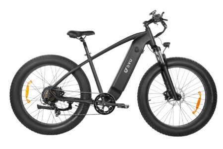 DYU King 750 48V/20Ah 750W Fat Tire Electric Bike