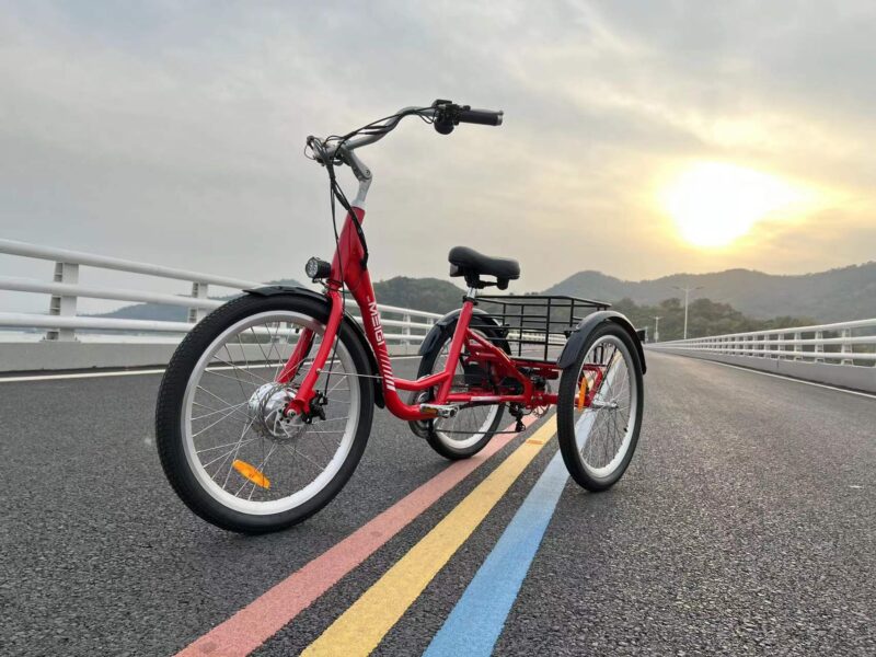DWMEIGI Hera MG708 36V/13Ah 350W Step-Thru Electric Trike - Image 18