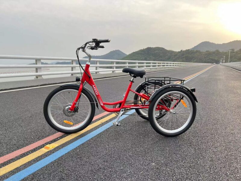DWMEIGI Hera MG708 36V/13Ah 350W Step-Thru Electric Trike - Image 17