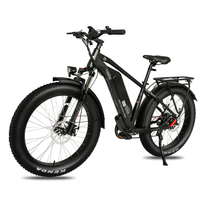 DWMEIGI Pegasus 48V/16Ah 750W Fat Tire Electric Bike - Image 4
