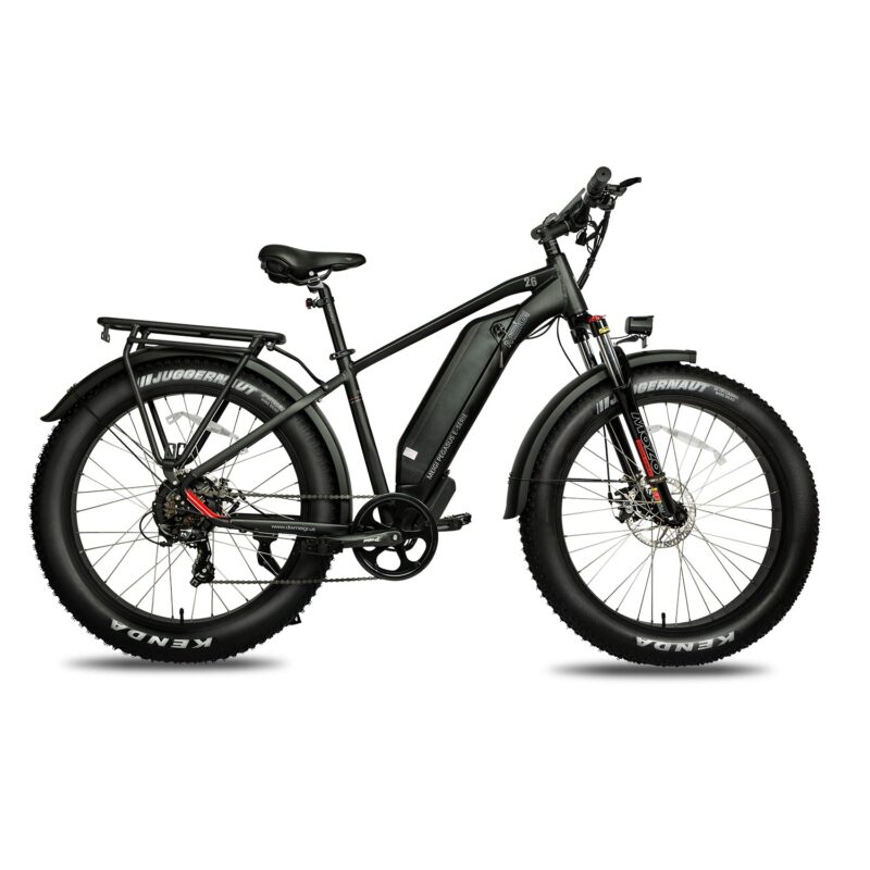 DWMEIGI Pegasus 48V/16Ah 750W Fat Tire Electric Bike - Image 2