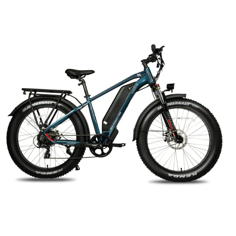 DWMEIGI Pegasus 48V/16Ah 750W Fat Tire Electric Bike - Image 10