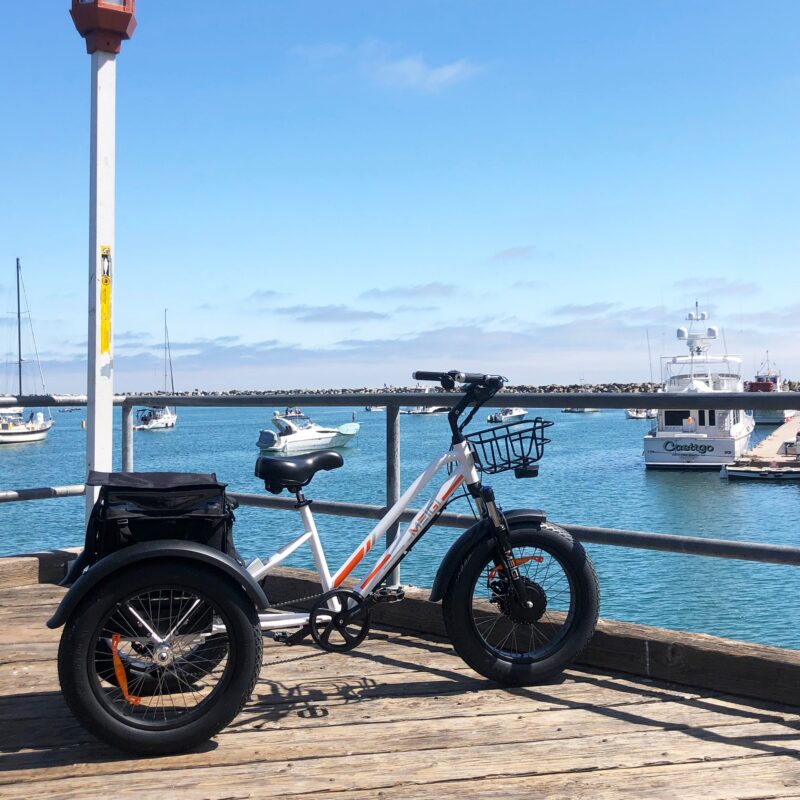 DWMEIGI Zeus MG1703 48V/18.2Ah 750W Electric Trike - Image 17