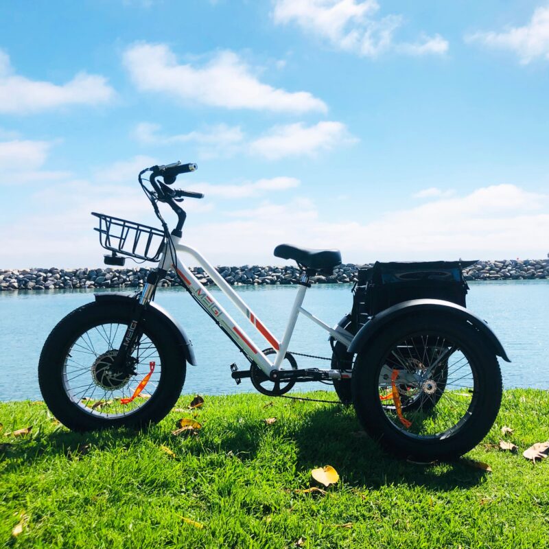 DWMEIGI Zeus MG1703 48V/18.2Ah 750W Electric Trike - Image 15