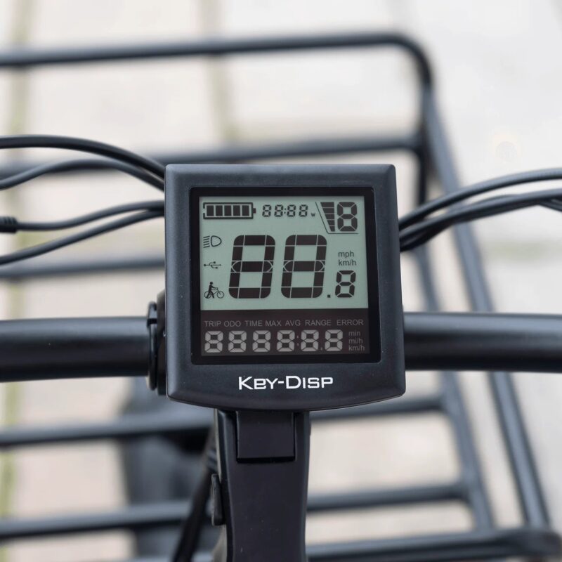 DWMEIGI Silverado MG2302 48V/13Ah 750W Electric Trike - Image 8