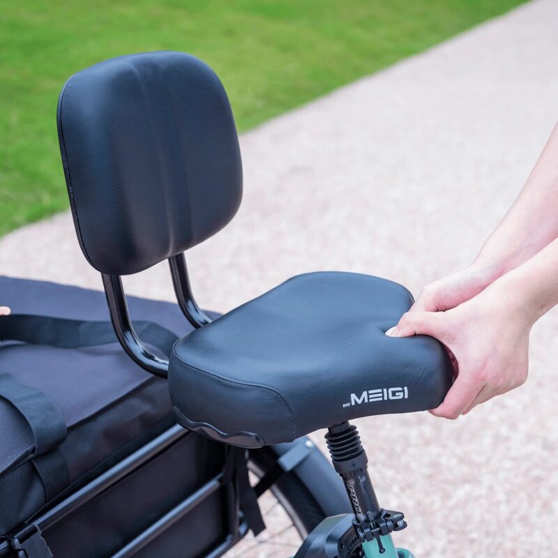 DWMEIGI Silverado MG2302 48V/13Ah 750W Electric Trike - Image 10