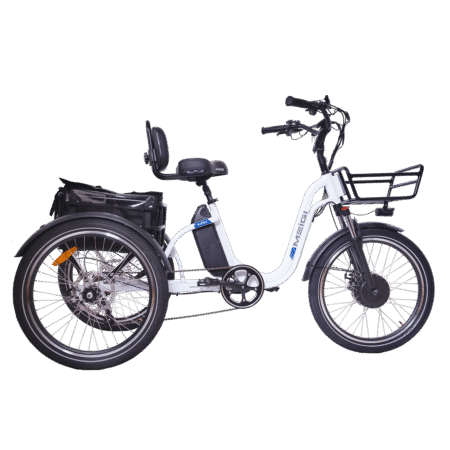 DWMEIGI Blazer MG2303 48V/16Ah 750W Electric Trike