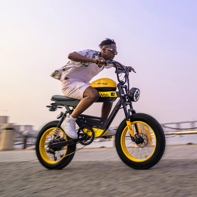 HappyRun G100 48V/38Ah 2000W Dual Battery Electric Bike - Image 18