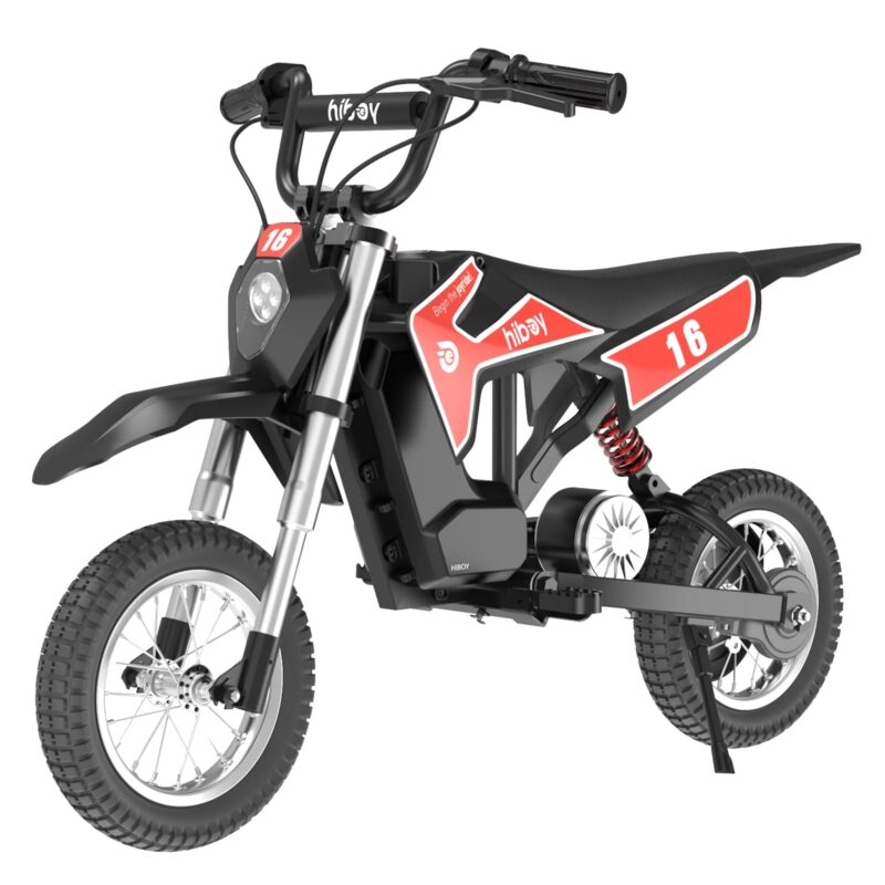 Hiboy DK1 36V/4Ah 300W Electric Dirt Bike For Kids - Image 2